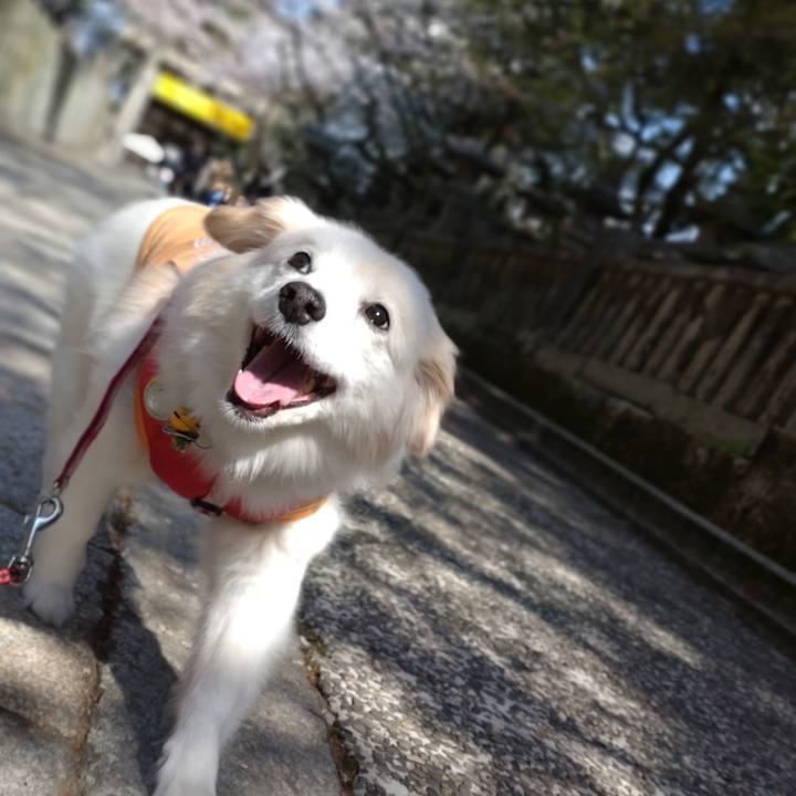 930d7f79 9118 4120 9e0c 4f5bdc78abdd 1649198623062