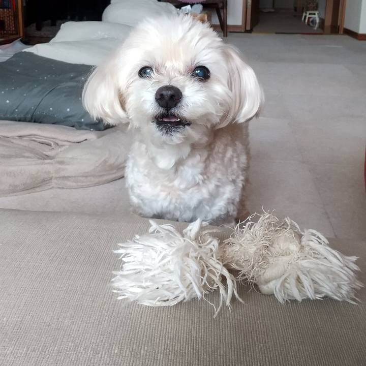 930db449 50c0 4fb8 980c 9d12c8c3aab5 1621740868232