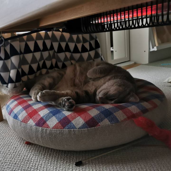 930deb00 95e5 4990 a9e7 49b5d1ddb28c 1665301329261