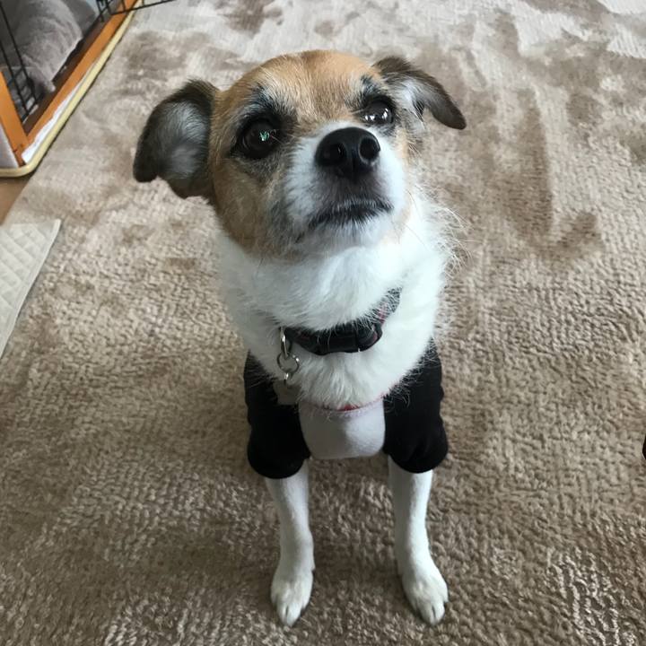 930deb59 d8ea 42c1 a304 fd856732bf75 1526899375805