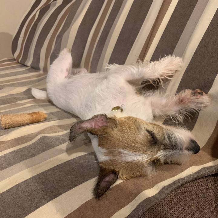 930e092f 5277 4cb3 83f8 41cd1f643749 1599911950390