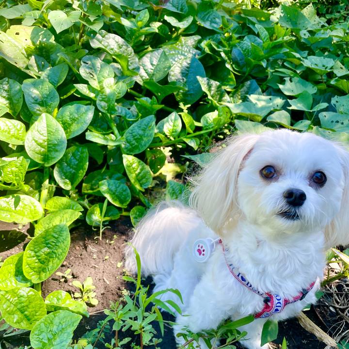 930e2b50 b675 4b25 8995 d4dc309faa7c 1629338649806