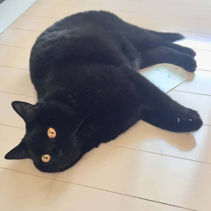 930e313b 916e 4901 a971 419e8bf7a4af 1555802950007