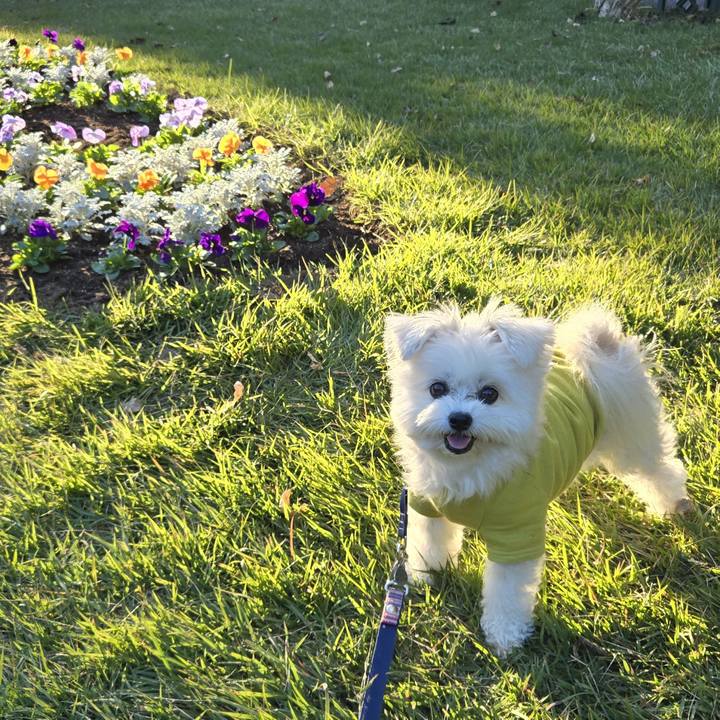 930eabbb f476 4485 9578 5dbfb8c27d28 1762678398171