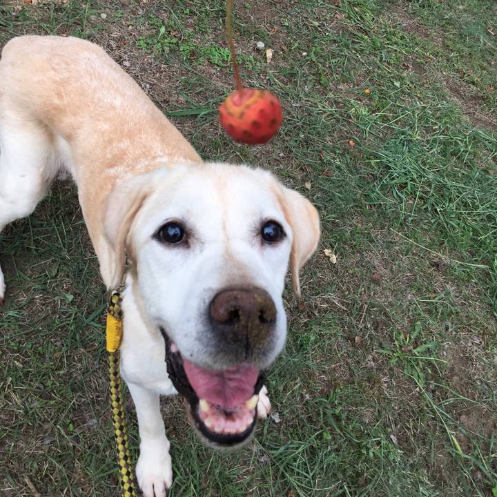 930edd28 e141 4f7c 8874 0042f3edfd6a 1536741930845