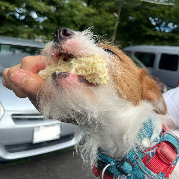 930edde1 068b 4e0f a7ed 2b64da788284 1757900827120