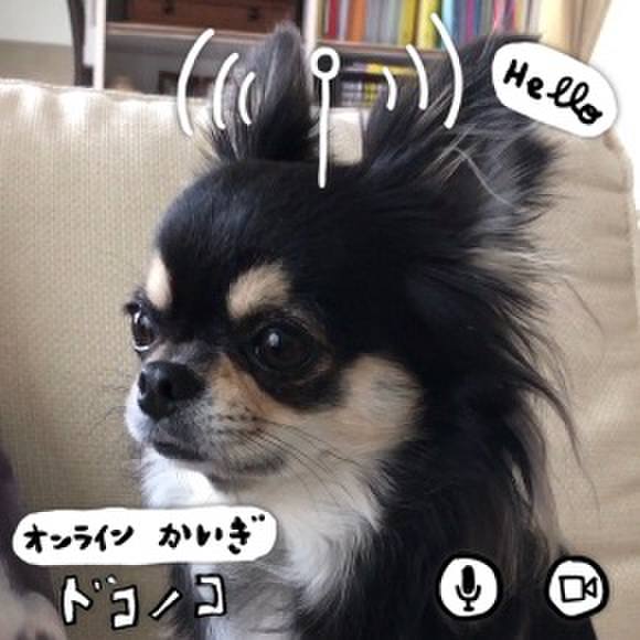 930ee204 de59 4cff 90f6 9123b3ea5717 1590705384245