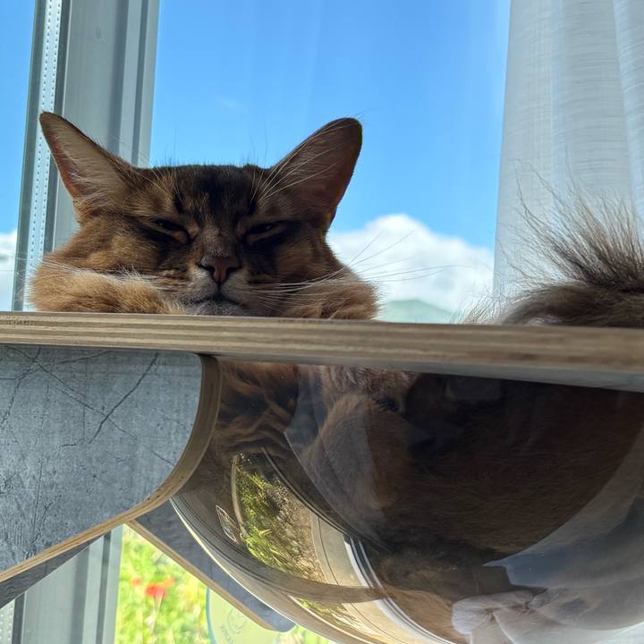 930f00bf 9e99 40ac a63a 81404edb43ec 1756774081741