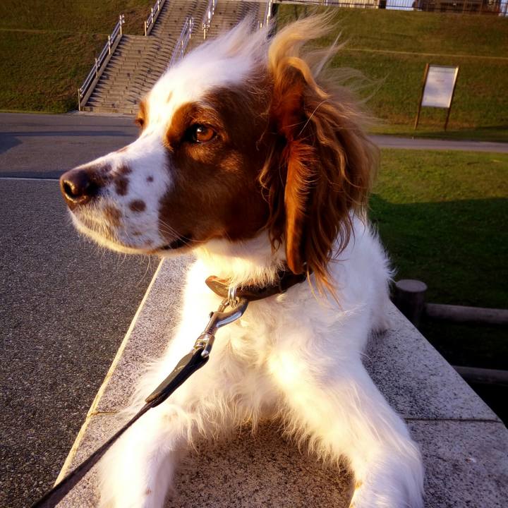 930f875f f307 47c1 ad5c f4ff3f3e8b94 1510831576483