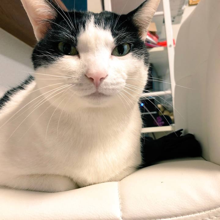 930f9e4e 9cb6 4983 969f 1f63203d3f92 1525167512880