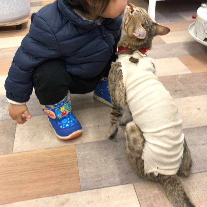 930fb658 9247 4a65 b60c 0d387498c3db 1581734804459