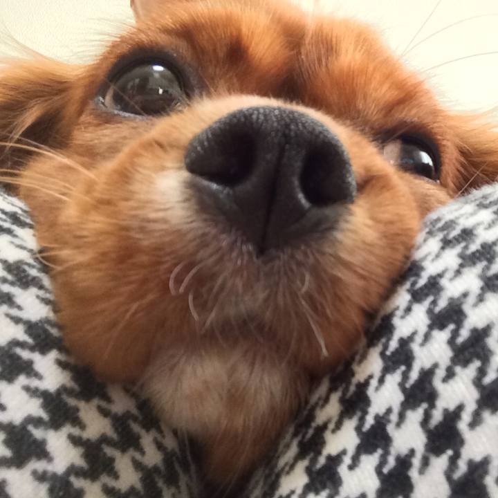 930ffbce d052 4db7 88b8 5da5c8a5555a 1514589814005