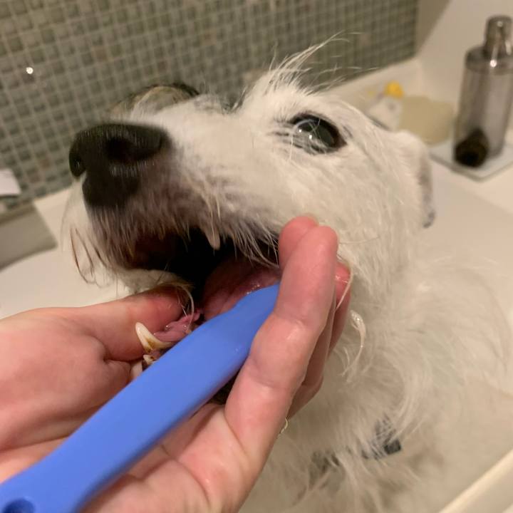 9310306b 1111 46fe aad7 7689b5d42161 1664454404715