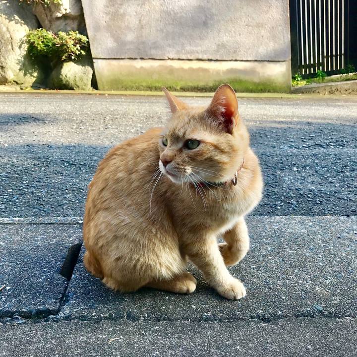 9310351c 65d2 4a5b aa14 909d907ad022 1528807249394