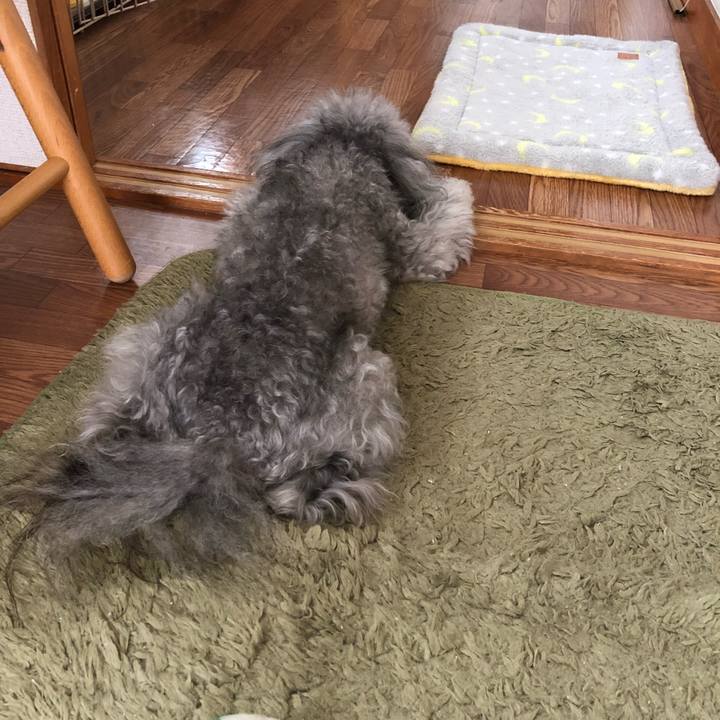 931073e7 ae17 4252 8b79 6691c0f4e61b 1523163508786