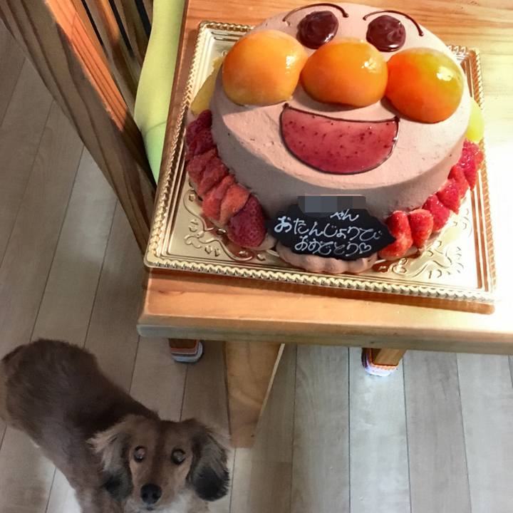 9310b107 74f5 41a0 a8e5 1e11b9d30add 1516962977491