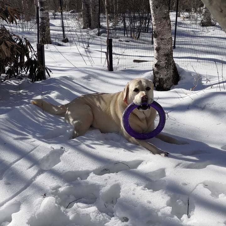 931149e4 85d2 4827 b7b9 a7a40b022d05 1707715935455