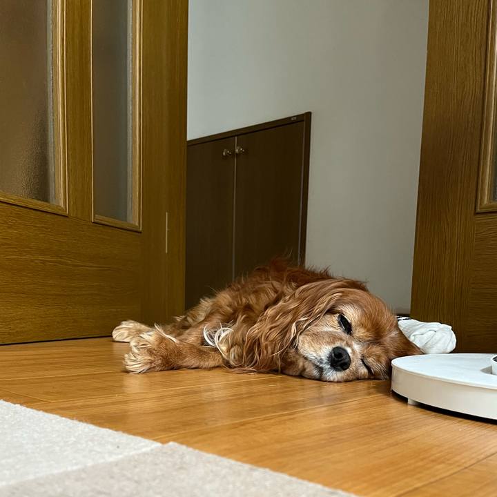 9311560b d213 429d 995e 06f0a92e858c 1742941411096