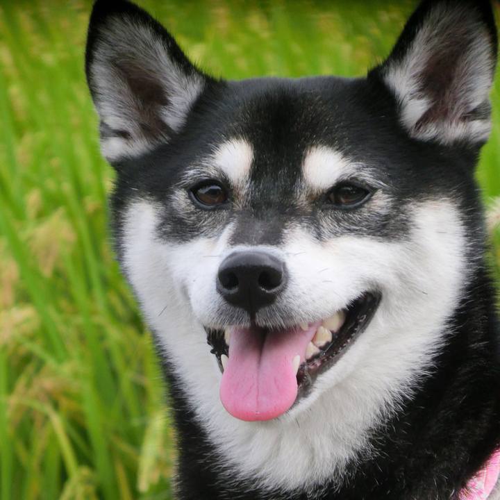 9311995c 21e1 4ed5 b983 c0751fad4b2e 1536970979989