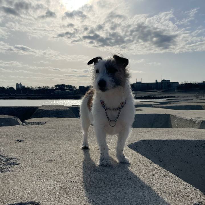 9311c3b8 1df5 4e31 ae00 8f52fb3fd97b 1648597404434