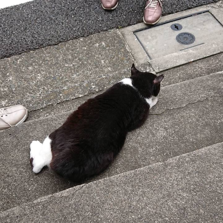 9311c625 5ae7 4547 8bc7 9894169e4c2e 1592722070067