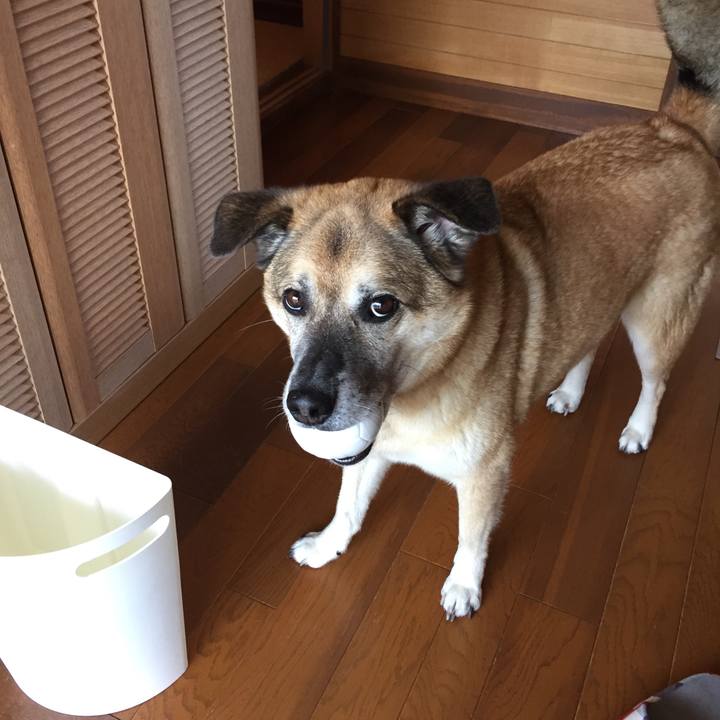 9311ebc9 f64a 4fdc 93a9 47fe9204d13b 1527201576773