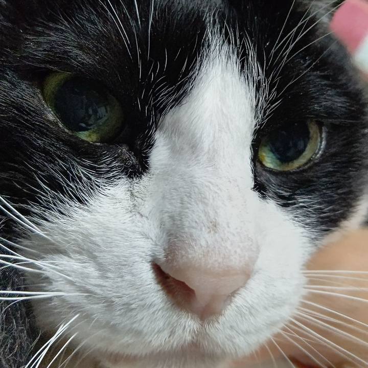 93121c3c 7dae 455c a9be 428147208581 1640989290738