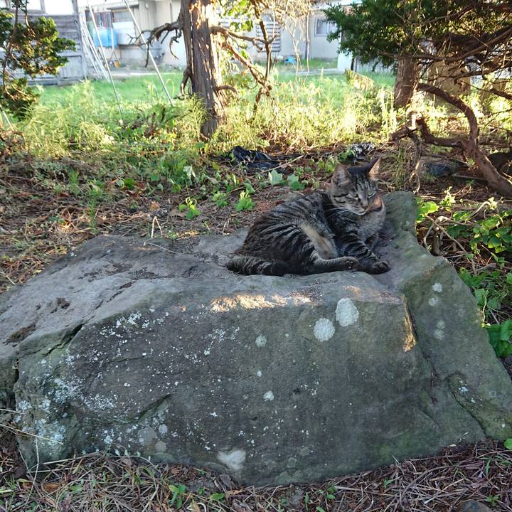 93124f6e 2697 40e2 b222 aabc627a2e56 1659258559353