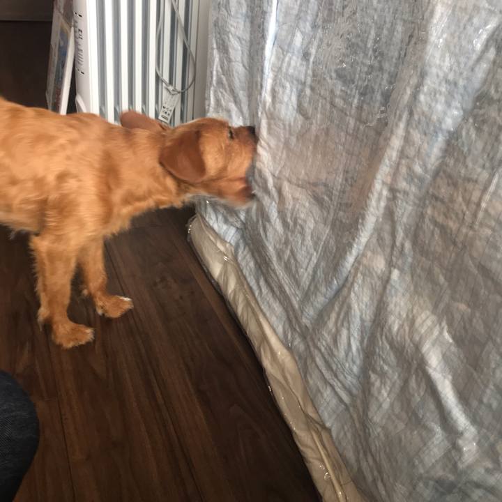 93128d91 6ab5 4f3c 8da0 9f1df41de3ab 1560332464911