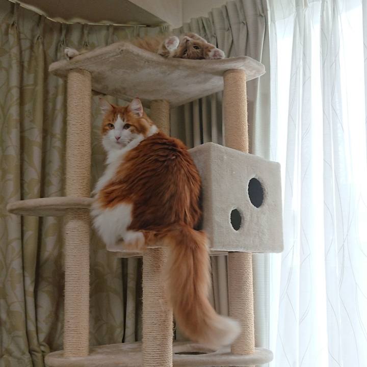 93129069 c904 494e bd75 09e689d70523 1544761909651