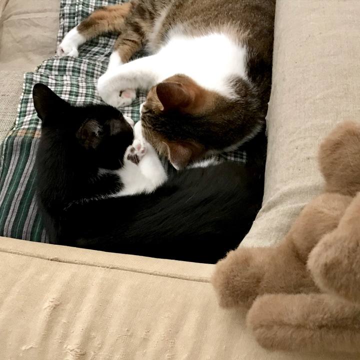 9312b8d0 3edf 4b0c b151 2dd496b5935a 1532151346393