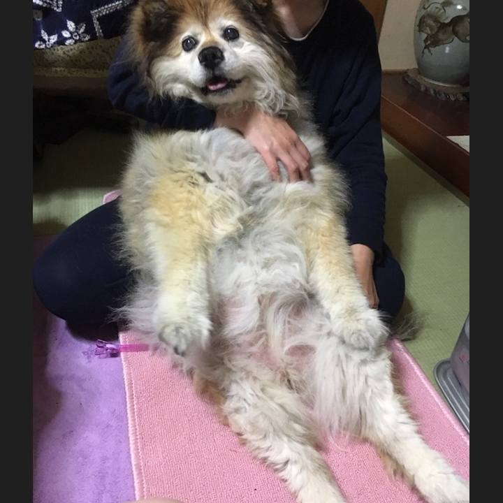 9312f0a1 824f 4954 88ca f72ced718e99 1556622536884