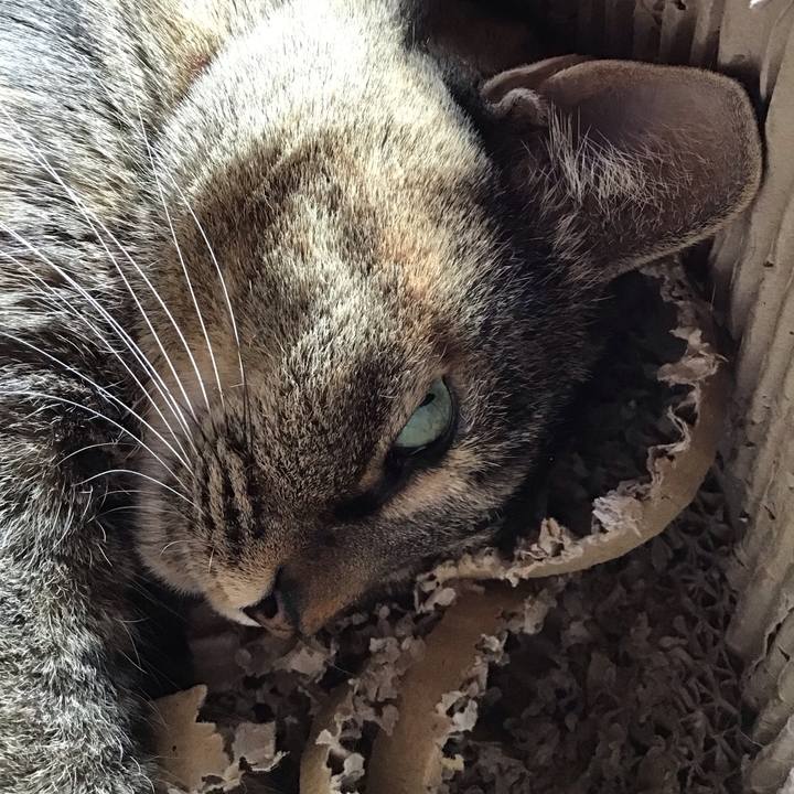 9312f8db f354 4827 afd9 b1964f08b81b 1708749383257