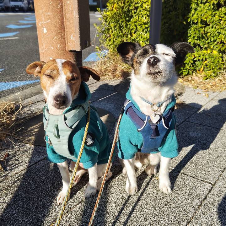 9312fd13 024e 4f21 89d2 c931bc714521 1736731476559