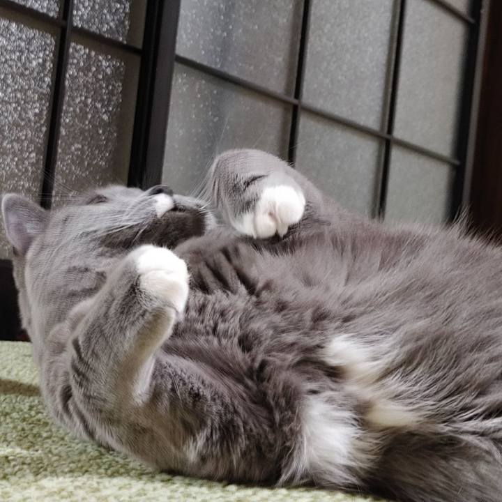 931313e8 9d78 4a5c 8172 bcf51b28977c 1676728726274