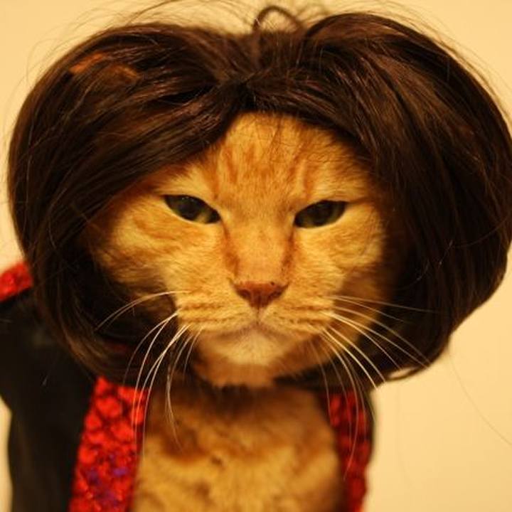 931328d1 84b5 41a1 bad6 364fc433cc4c 1732701400256