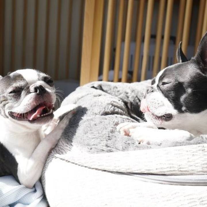 93137697 8bdd 45d8 a91a 6c530d32a006 1548571995162