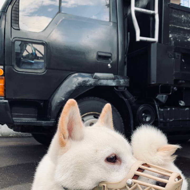 93137718 0441 46ea bb1a a8a154c65690 1573086518105