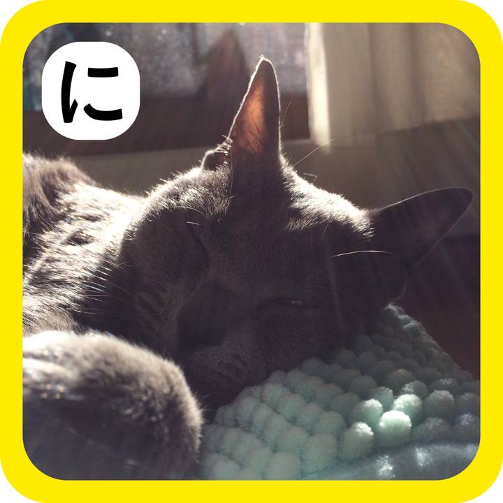 9313dc9b 683d 4bc0 9b75 39e553042a30 1514952879154