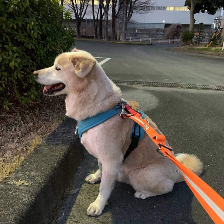 93140848 6d72 4144 bf74 a6a7c5db3fa9 1678187097402