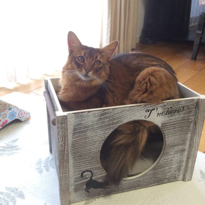 93144bb0 ee68 4d86 9269 009674c38d35 1611792619800