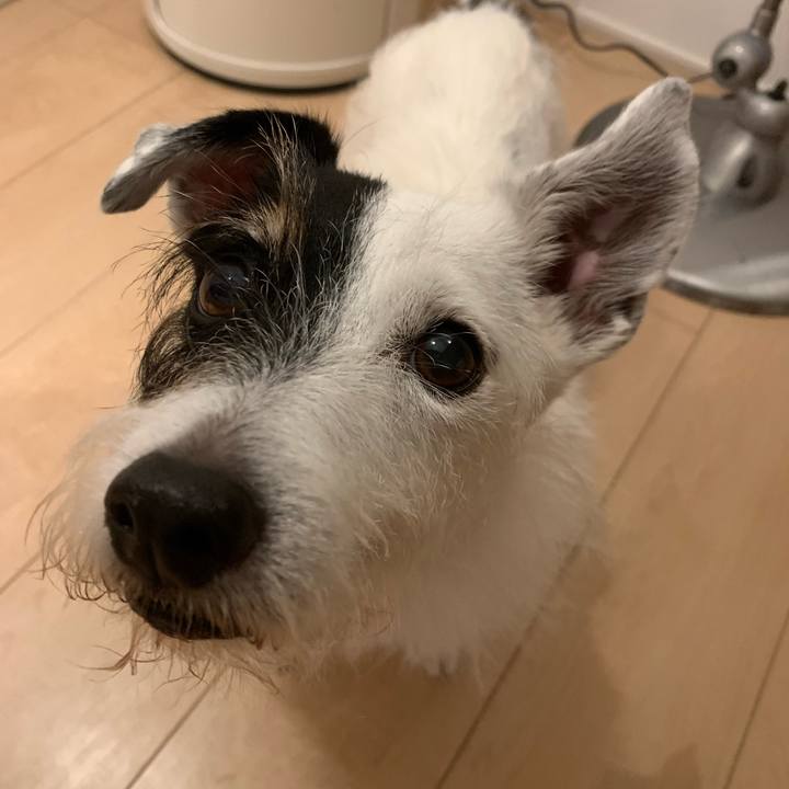 931478a3 e2d1 4d5e 893f 76e219e1a232 1728214011672