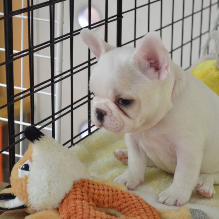 93152fe4 6a7c 466a a403 d652ef94e00d 1636005994210