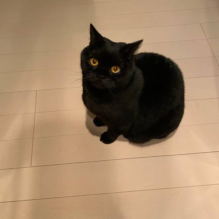 9315321e a9ac 4503 8f28 db8e01fed965 1675342471950