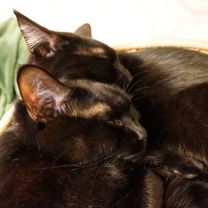 931550df 126d 4700 bba2 8fed4f157b3b 1545921068524