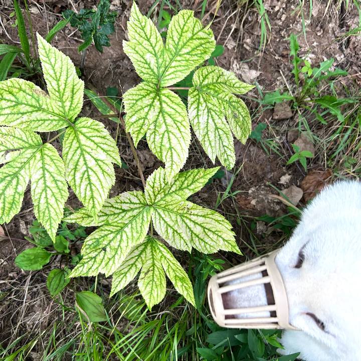 93156c58 d9f3 45d8 aaea 3e740b520680 1755379464062