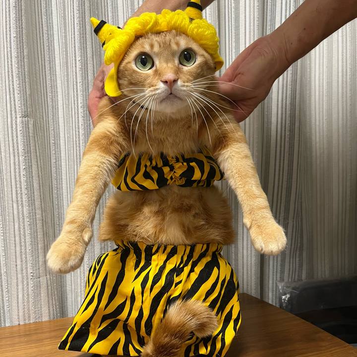 9315ba27 35f6 48f6 9d14 5988fa41324a 1642163765218