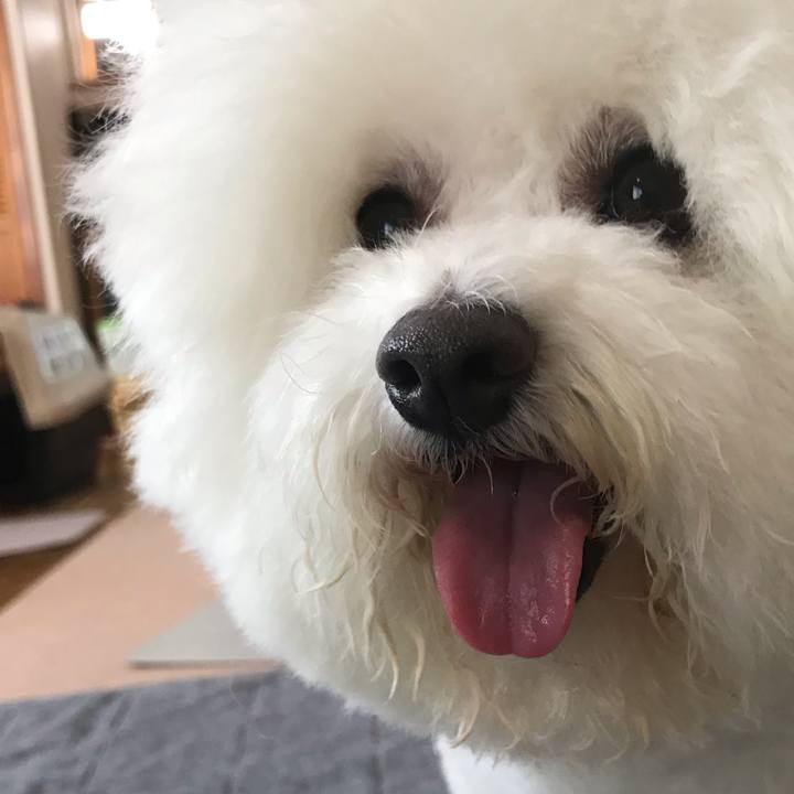 9315d8c2 8dab 416a ae39 5f29c29645e9 1594450744215