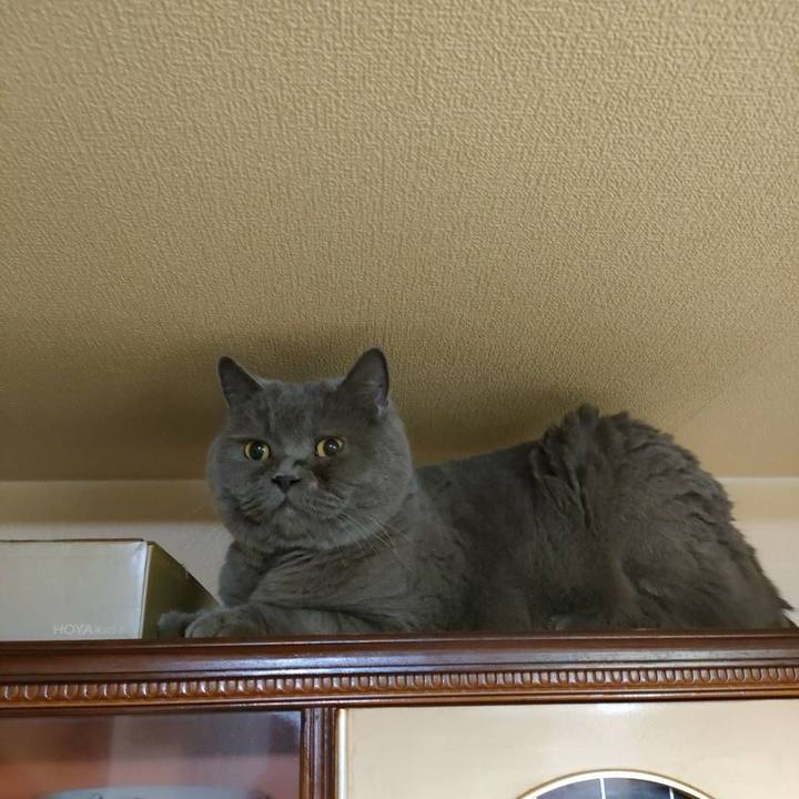 9315f3fa 9f70 454c b154 f9b4200dfe8f 1658179315445