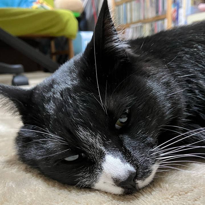 93163670 2271 4956 b26d 99eea473504c 1674290611244